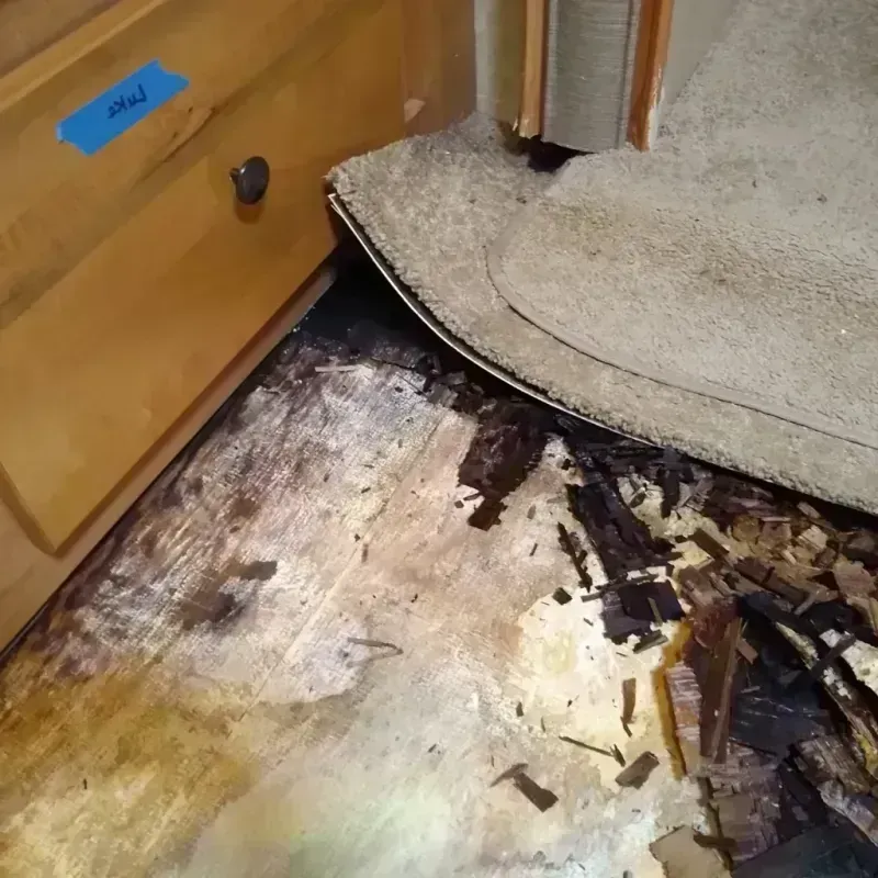 Wood Floor Water Damage in Claxton, GA